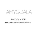 Amygdala