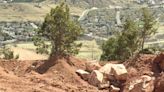 Colorado Springs' Pikeview Quarry planting thousands of trees, plants to blend scar into mountainside