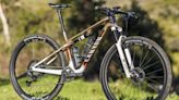 Pro XC Bike You Can Buy: Ltd. Ed. Canyon Lux World Cup CFR Untamed for the Cape Epic