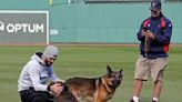 ‘I am devastated’: Fenway Park groundskeeper mourning loss of beloved service dog