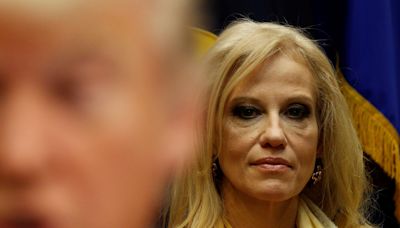 Kellyanne Conway joins the chorus of Republicans urging Trump to back off the Harris insults