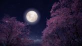 This Is What April's Full Moon—The Pink Moon—Means for You