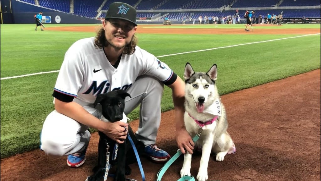 In honor of the Twins’ first-ever dog day, meet (some of) their four-legged companions