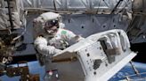 Astronauts may experience immune system problems during spaceflight