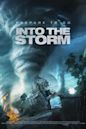 Into the Storm (2009 film)