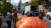 Gourdness gracious: Dundee Pumpkin Palooza features giant pumpkins, seasonal entertainment