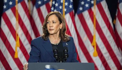 Deepfake claiming Kamala Harris was a sex worker circulating less than a day after her first rally