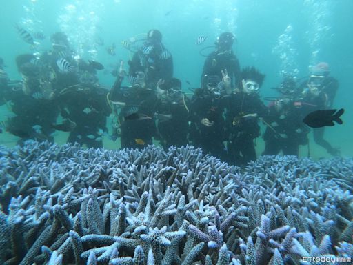 強化永續發展教育 雲科大啟動「澎湖復育珊瑚海計畫」