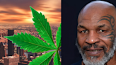 Mike Tyson's Cannabis Products Available In 'Even More Dispensaries' In Colorado Via New Partnership, Here's Where To Find Them