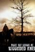 Bury My Heart at Wounded Knee (film)