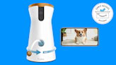 Save $63 on Furbo's smart pet camera during Amazon's October Prime Day