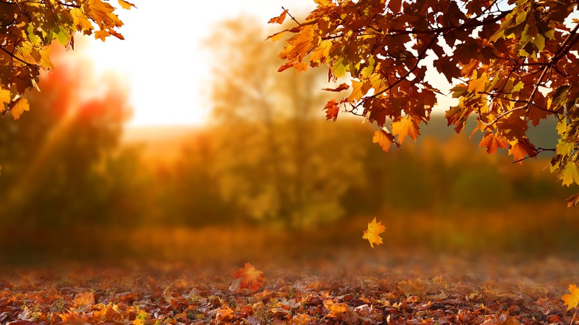 When does fall start? A look at the autumn equinox 2024