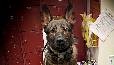 Livermore police K-9 helps catch suspected drug traffickers