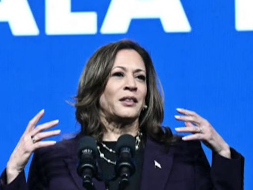 ‘Bringing the fight to Trump': How VP Kamala Harris candidacy has energized American politics