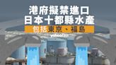 福島核廢水排放︱港府：計劃禁止東京、福島等 10 個縣水產進口