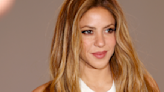 Shakira Left Fans Speechless With the Most Daring Bra-Inspired Look