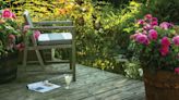 'They make you produce endorphins' - 10 plants that magically make your backyard more relaxing
