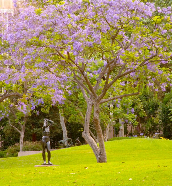 The 21 Best Picnic Spots in L.A., According to a Finicky Local