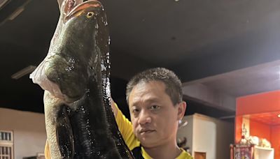 日月潭逮83公分大魚虎 達人曝牠體色變化藏玄機