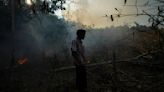 As Thailand gasps through another haze season, researchers hope a fire-charting app can help