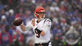 Bass: Of the Bengals, Bengals fans and the Winter of Our Disrespect