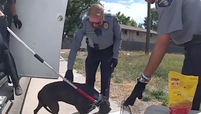 Video Shows Dog Trapped in Hot Parked Camper Being Rescued by Colorado Police