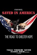 Saved in America Pictures - Rotten Tomatoes