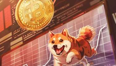 Dogecoin等Meme Coin為何能突破大盤走勢 鯨魚正收集那些迷因幣？ | Anue鉅亨 - 鏈文