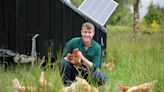 How farmers are embracing environment restoration: ‘I kind of live for the corncrake’