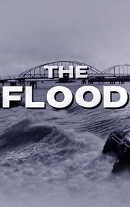 The Flood