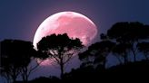 Astronomía de junio 2024: cuándo se podrá ver la Luna de Fresa y por qué los pueblos originarios la llamaron así