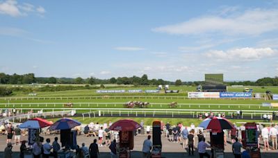 ‘He was given a ridiculous handicap mark’ - odds-on favourite trades at 1.01 but is beaten by 66-1 outsider