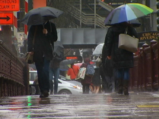 Chicago forecast: Showers, storms bringing 'torrential downpours' on the way