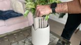 Want Cleaner Air? Add One of These Houseplants to Your Kitchen or Living Room