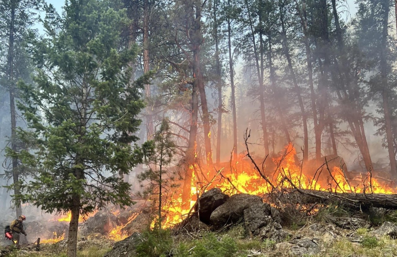 Four Oregon megafires still burning after nearly 50 days