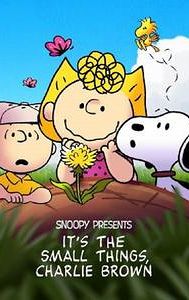 Snoopy Presents: It's the Small Things, Charlie Brown