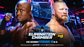 WWE Elimination Chamber: Brock Lesnar vs. Bobby Lashley Result