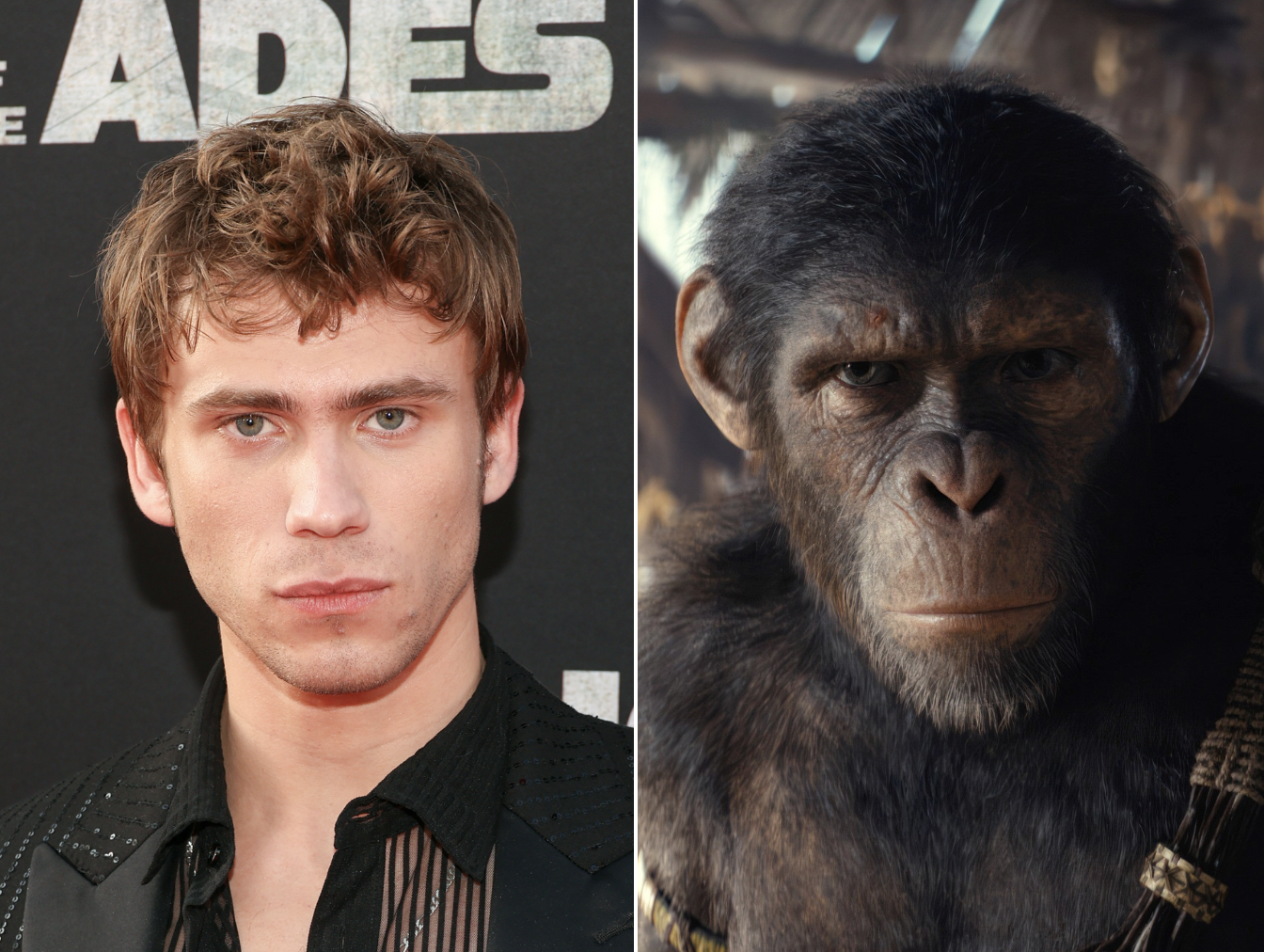 Kingdom of the Planet of the Apes Cast Guide: Actors Behind the Apes