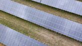 Listen now: Food versus energy - the debate around solar farming