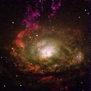 Seyfert galaxy