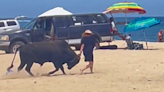 Woman gored by bull after ignoring warnings from beachgoers in Mexico