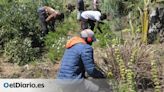 Migrantes africanos echan raíces en Güímar