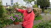 Take £300 health and safety course before installing hanging baskets, council tells volunteers