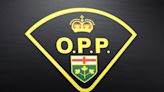 Lakeshore OPP charge youth after projectile hits pedestrian