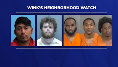 WINK Neighborhood Watch: peeping Tom, hit-and-runs and armed robbery