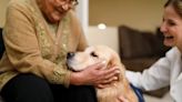 Paws of Comfort: Dempsey Dogs Offer Support to Cancer Patients