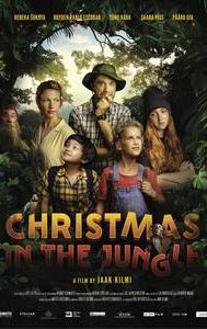 Christmas in the Jungle