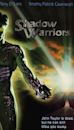 Shadow Warriors (film)