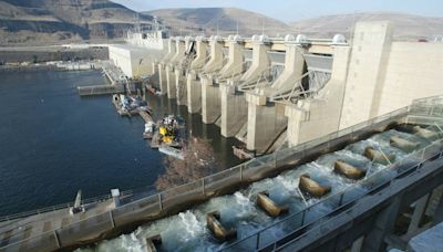 ‘Surprise U.S. government actions.’ Snake River dam supporters leery of new DC task force