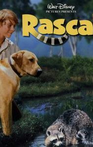 Rascal (film)